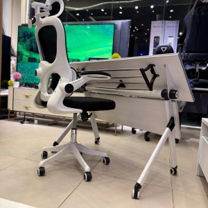 Ergonomic Work Desk and Chair